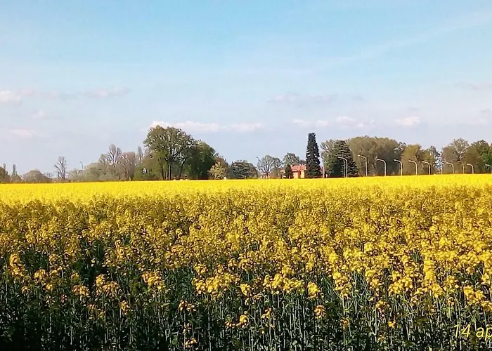 Il Fienile, Casa In Campagna Con Parcheggio Privato E Giardino Privato, A 6 Chilometri Da Centro E 1 Chilometro Da Fiera, Parco Commerciale Meraville E Gran Tour Italia Apartman Bologna